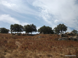 ano Margi-18-08-2016 11-26-07